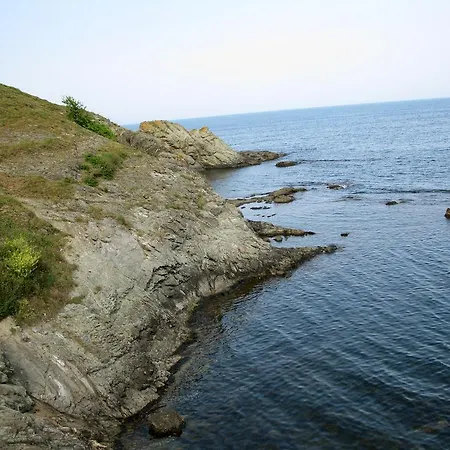 самостоятелна 雷佐沃