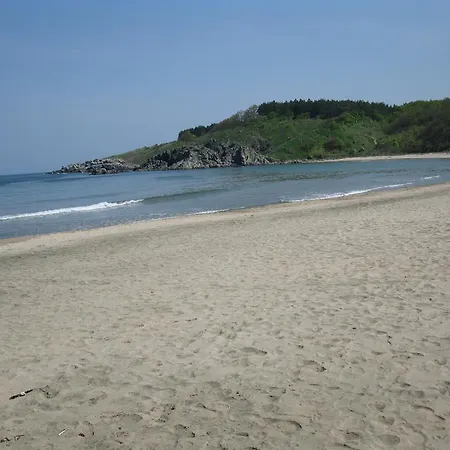 招待所 самостоятелна